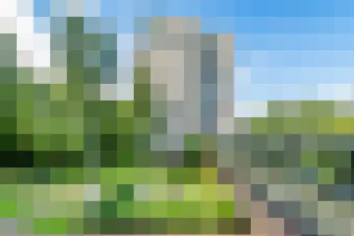 Gouden Leeuw 352 Amsterdam thumbnail 28