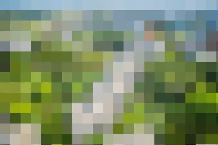 Gouden Leeuw 352 Amsterdam thumbnail 30