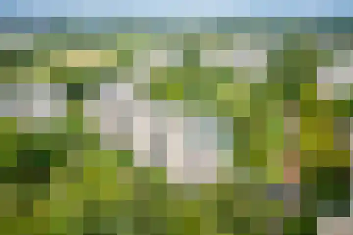 Gouden Leeuw 352 Amsterdam thumbnail 31