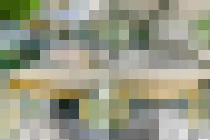 Gouden Leeuw 352 Amsterdam thumbnail 34