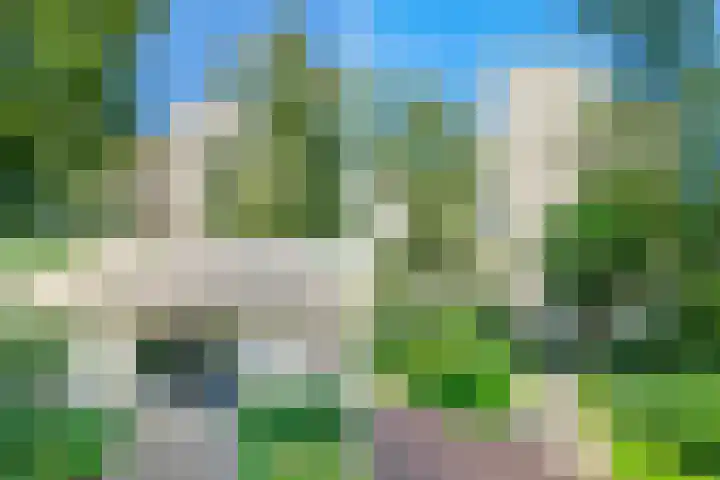 Gouden Leeuw 352 Amsterdam thumbnail 36