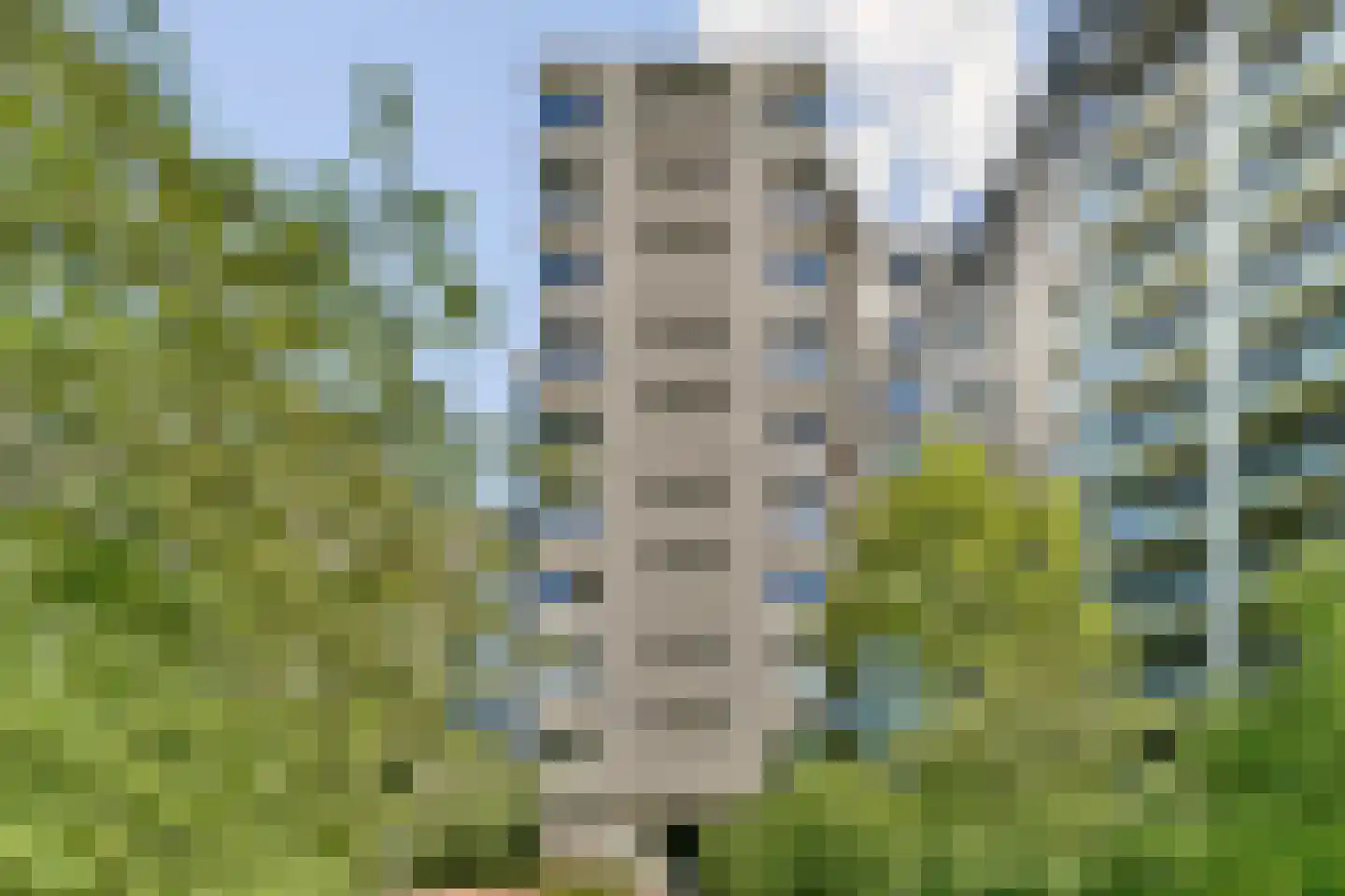 Gouden Leeuw 412 Amsterdam