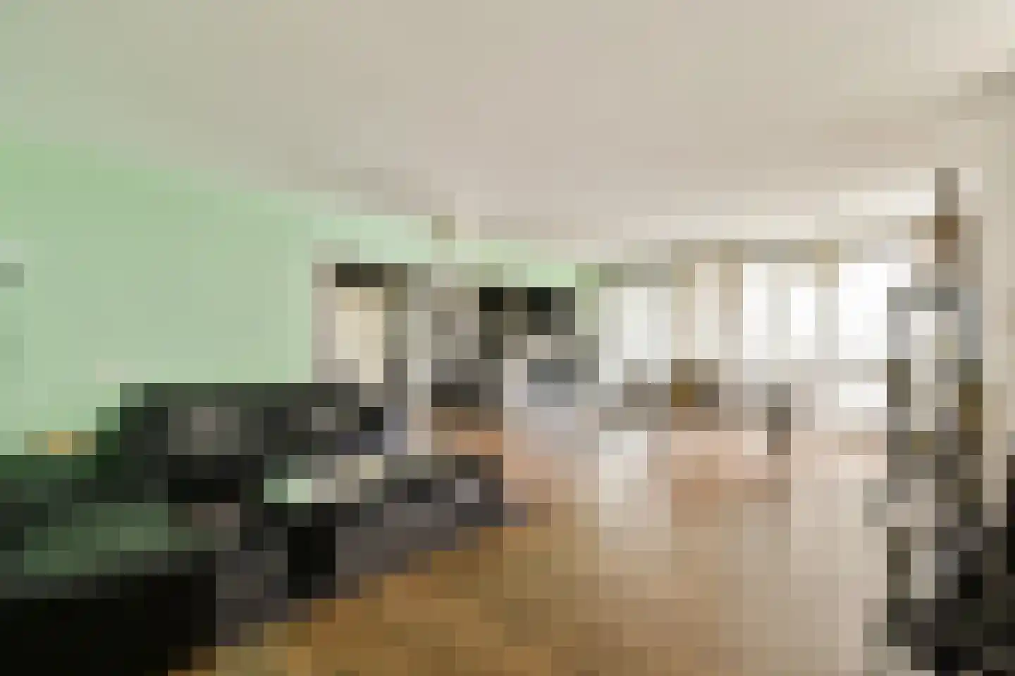 Gouden Leeuw 412 Amsterdam thumbnail 10