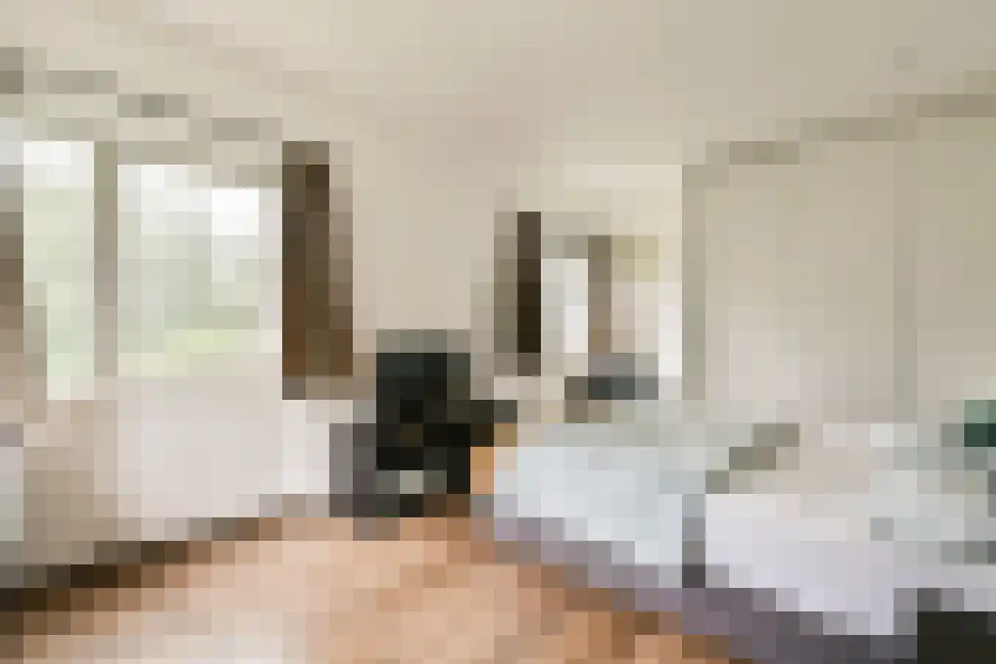 Gouden Leeuw 412 Amsterdam thumbnail 12