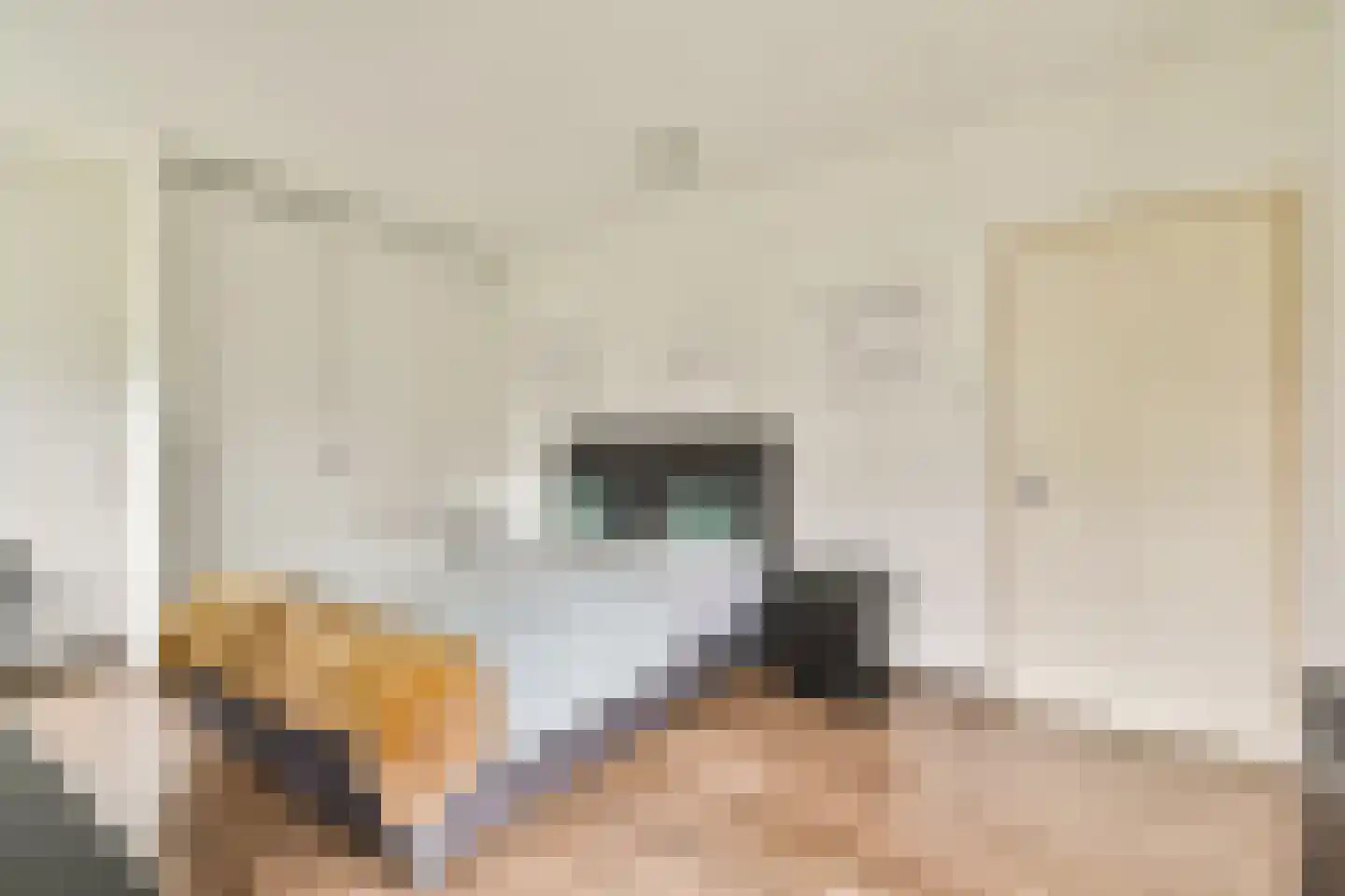 Gouden Leeuw 412 Amsterdam thumbnail 13