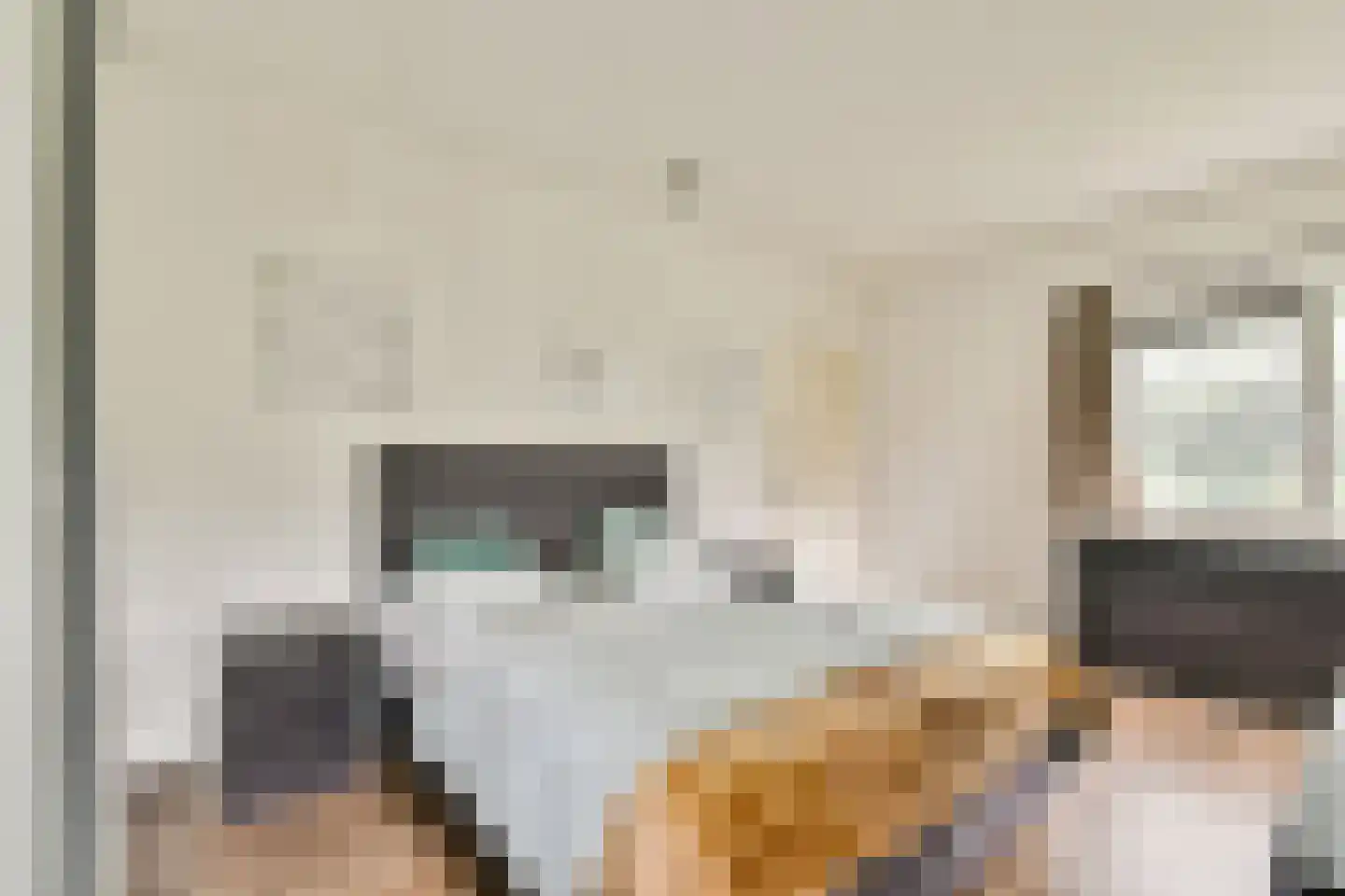 Gouden Leeuw 412 Amsterdam thumbnail 14