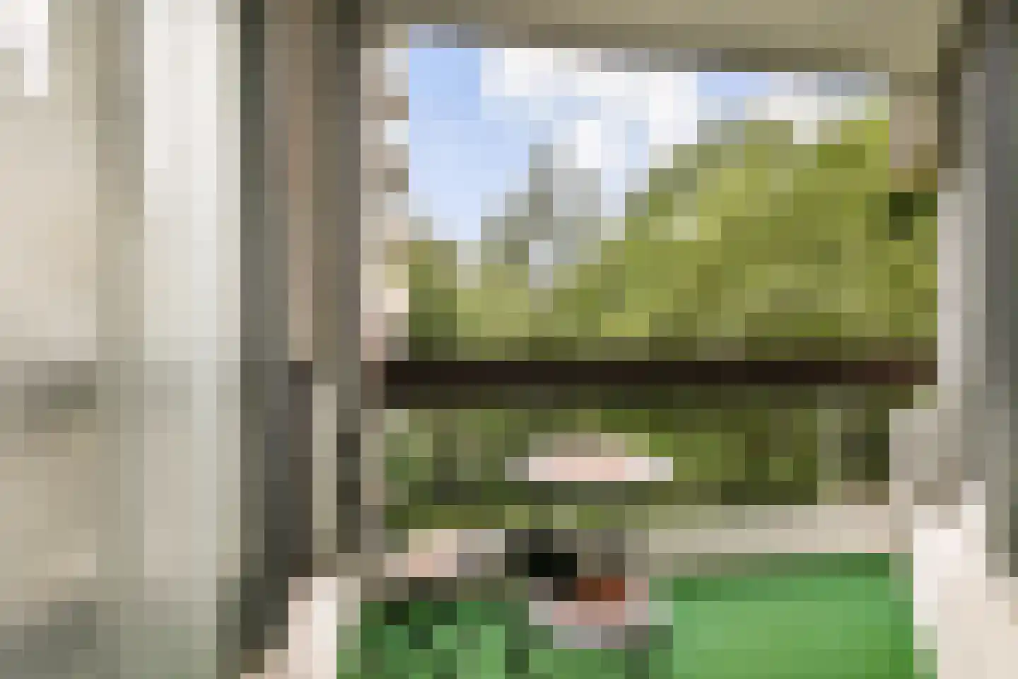 Gouden Leeuw 412 Amsterdam thumbnail 4