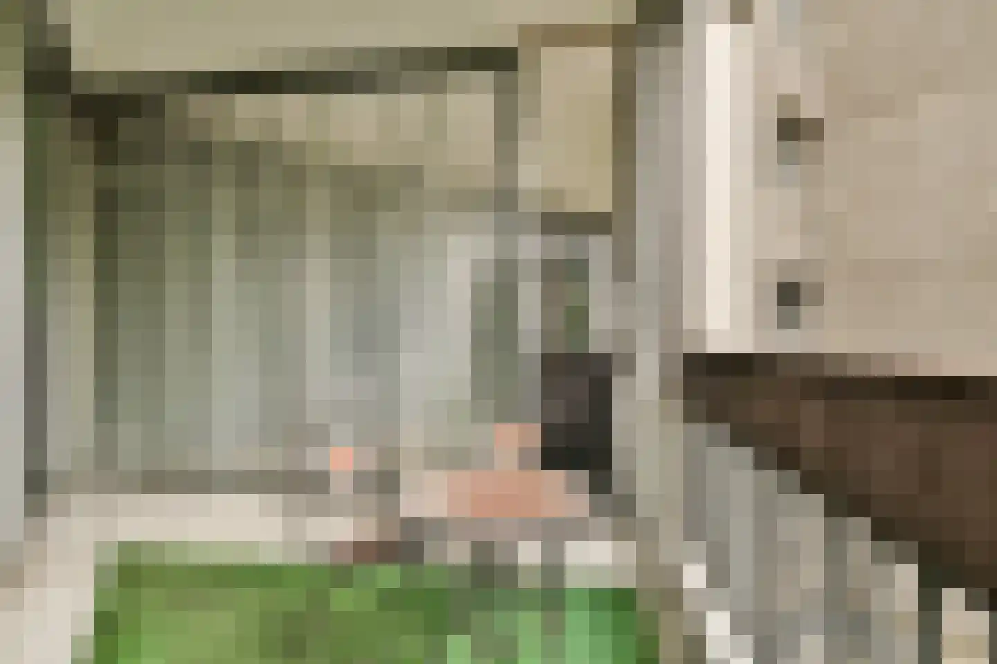 Gouden Leeuw 412 Amsterdam thumbnail 5
