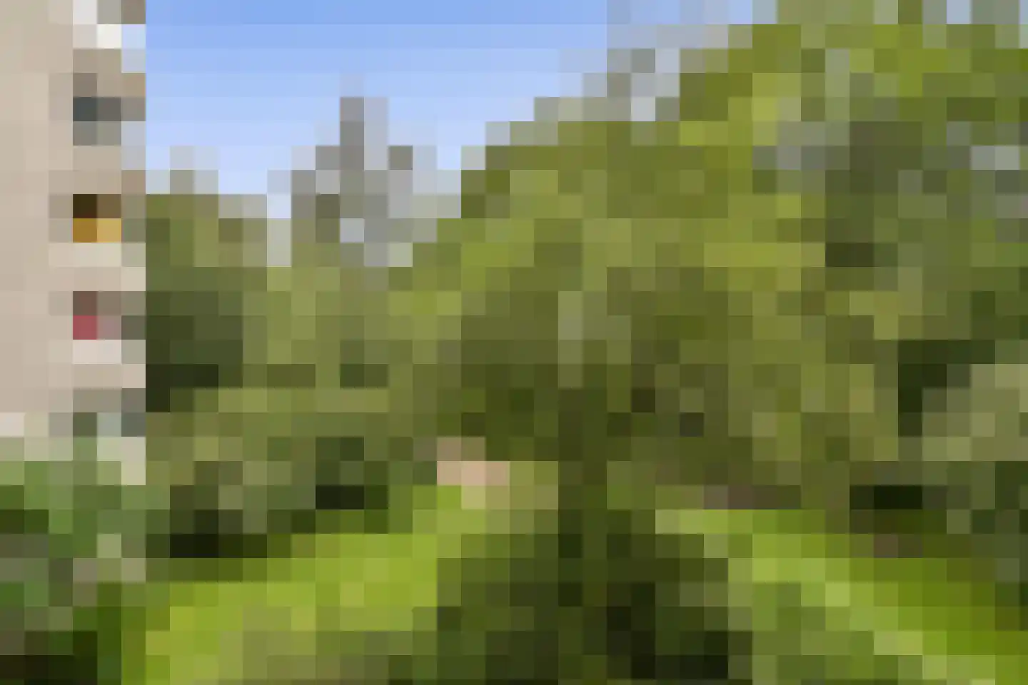 Gouden Leeuw 412 Amsterdam thumbnail 6