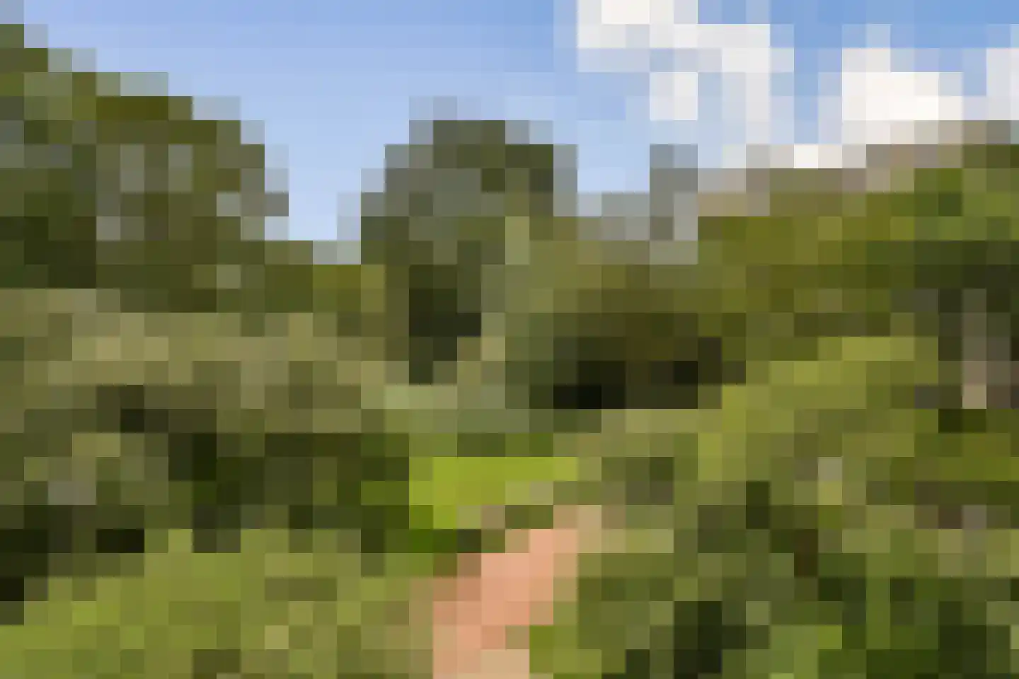 Gouden Leeuw 412 Amsterdam thumbnail 7