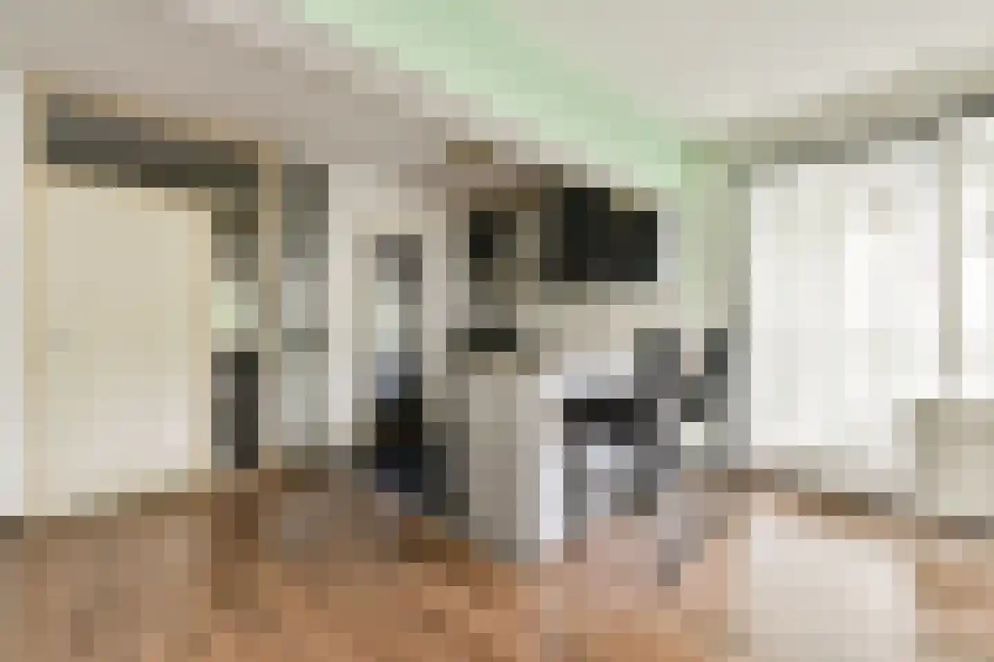 Gouden Leeuw 412 Amsterdam thumbnail 8