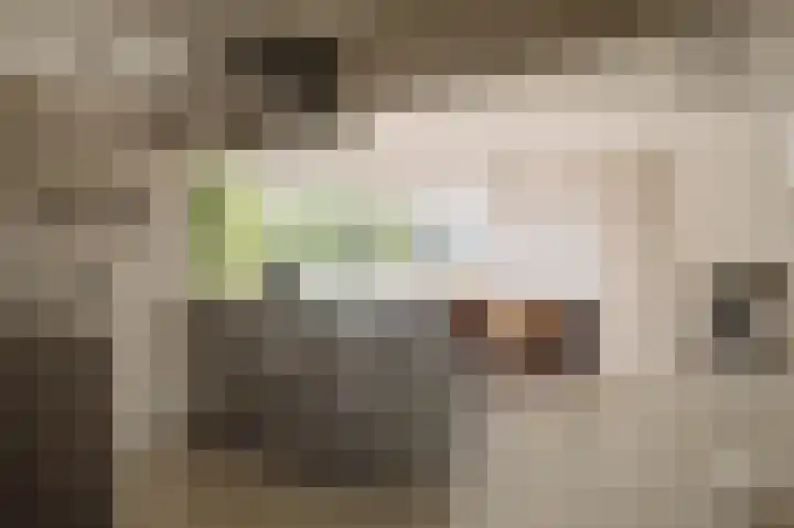Gouden Leeuw 448 Amsterdam thumbnail 17