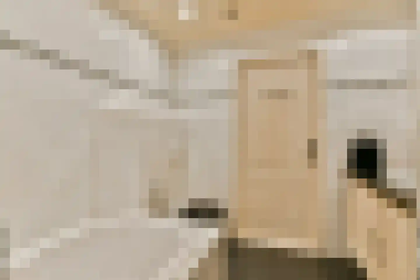 Gouden Leeuw 522 Amsterdam thumbnail 12