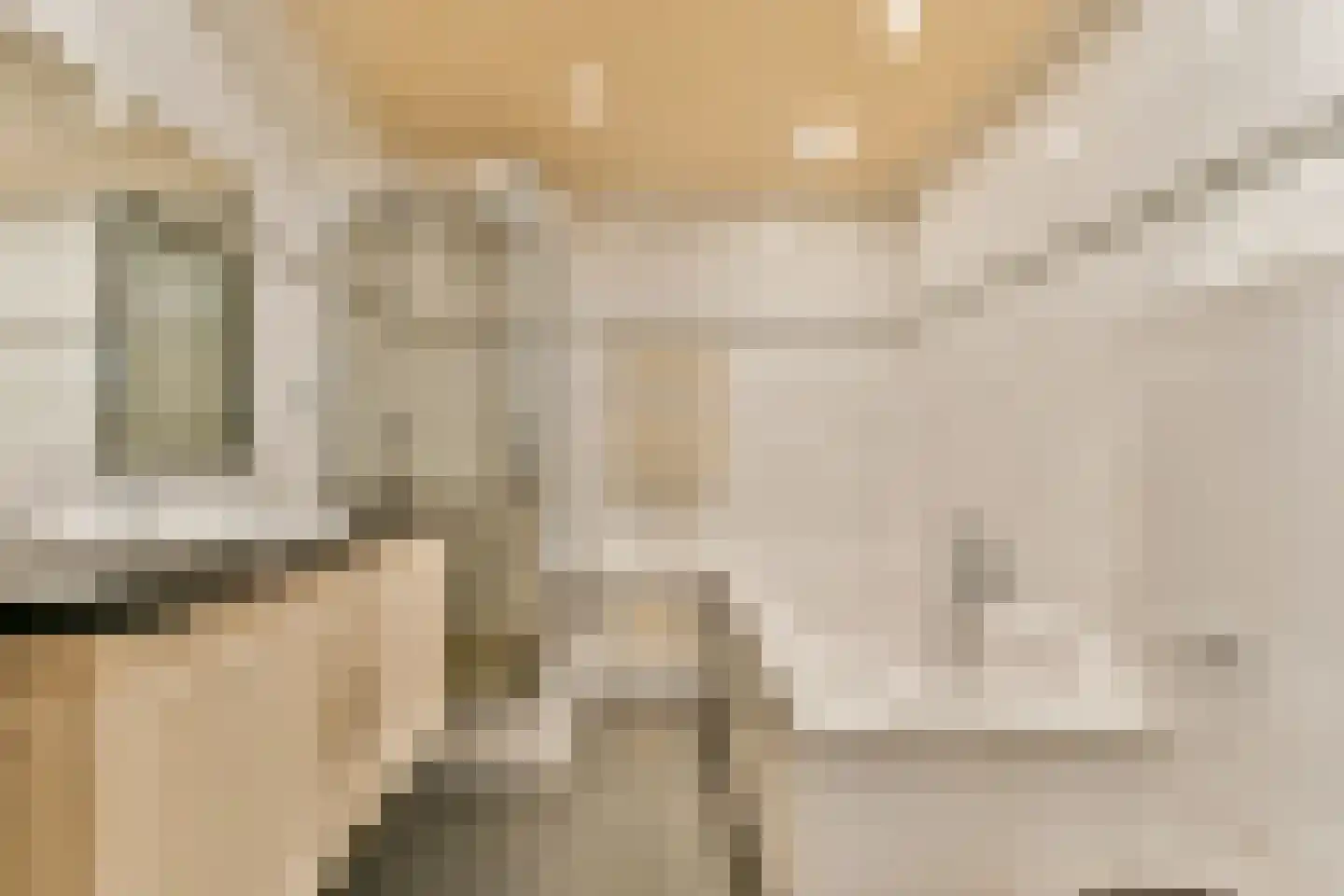 Gouden Leeuw 522 Amsterdam thumbnail 13