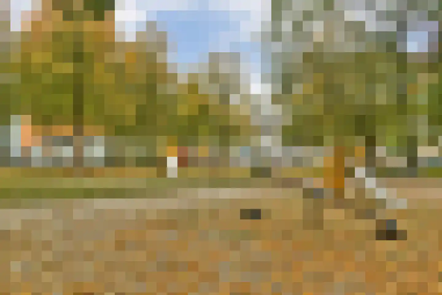 Gouden Leeuw 522 Amsterdam thumbnail 21