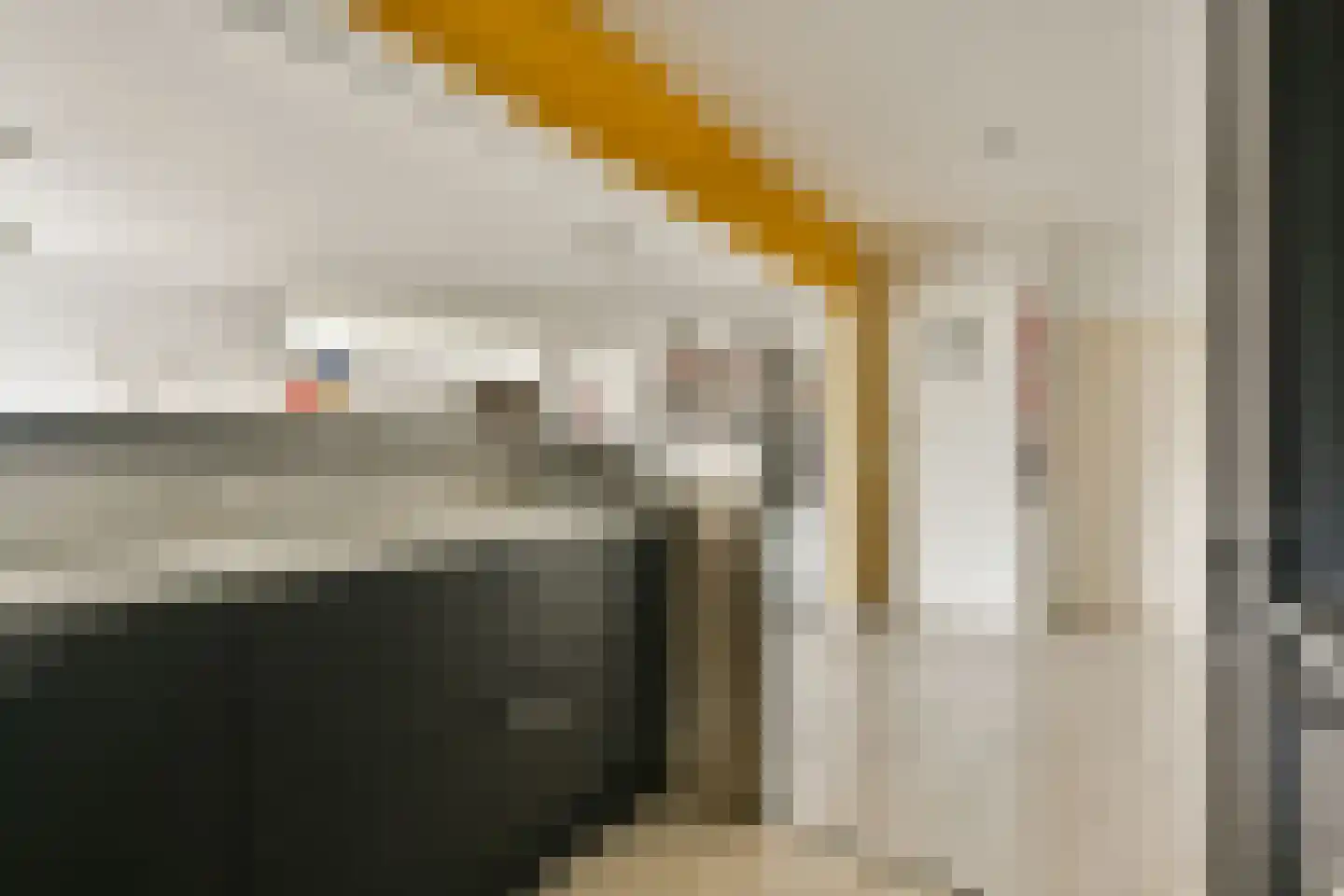Gouden Leeuw 522 Amsterdam thumbnail 9