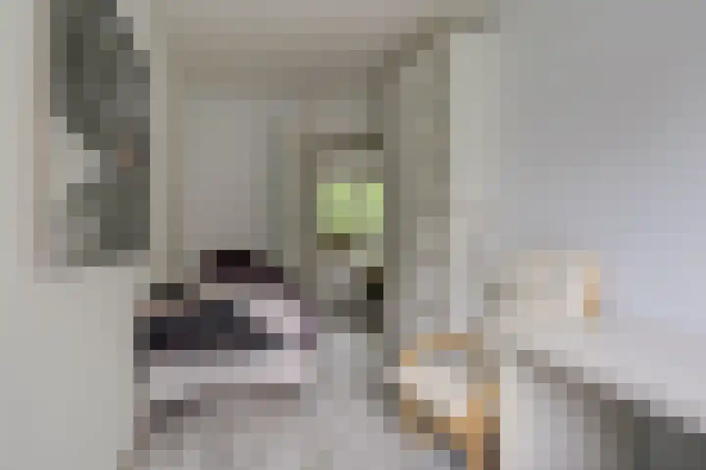 Gouden Leeuw 618 Amsterdam thumbnail 14