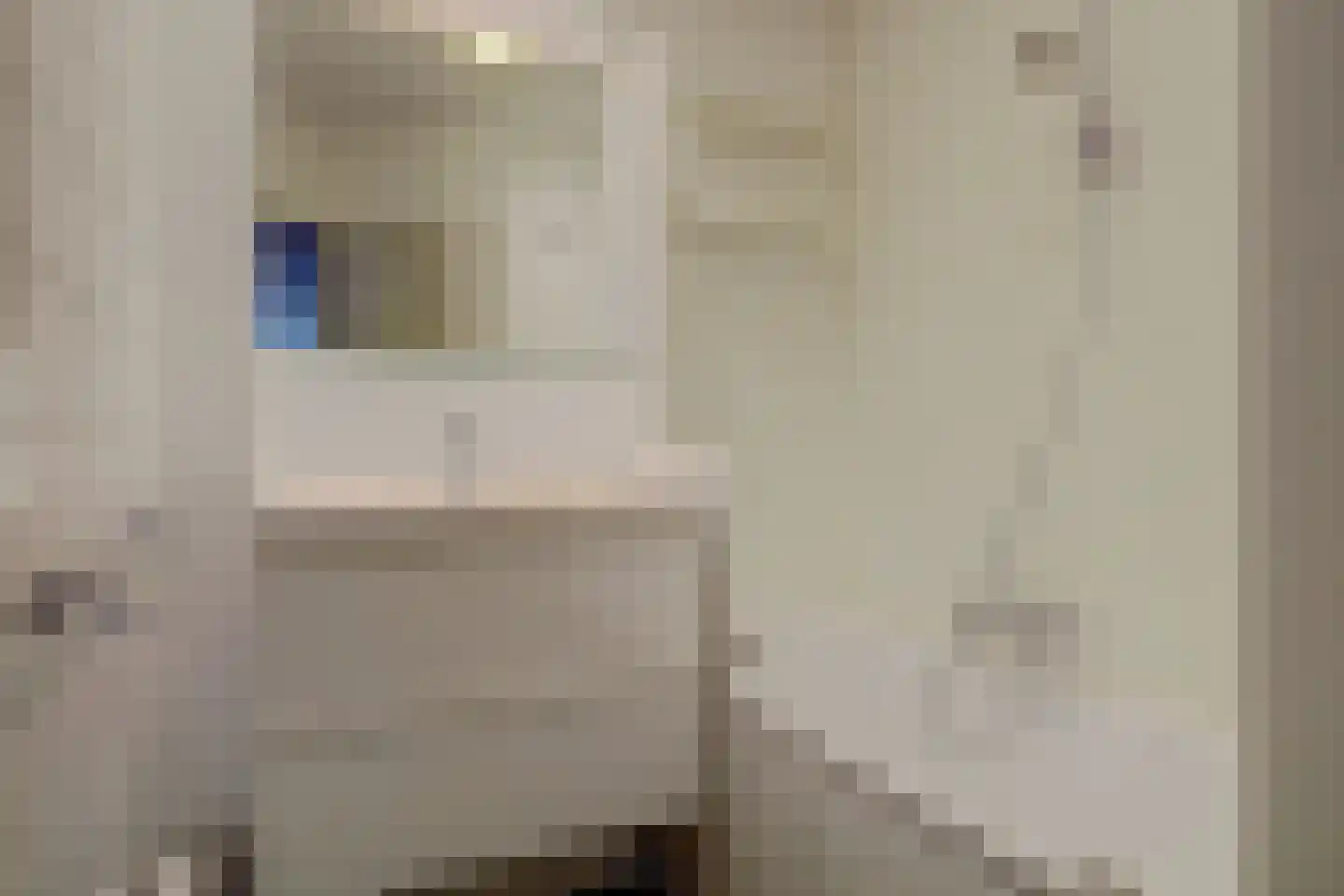 Gouden Leeuw 618 Amsterdam thumbnail 17