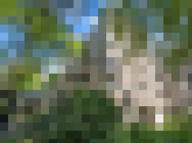 Gouden Leeuw 618 Amsterdam thumbnail 31
