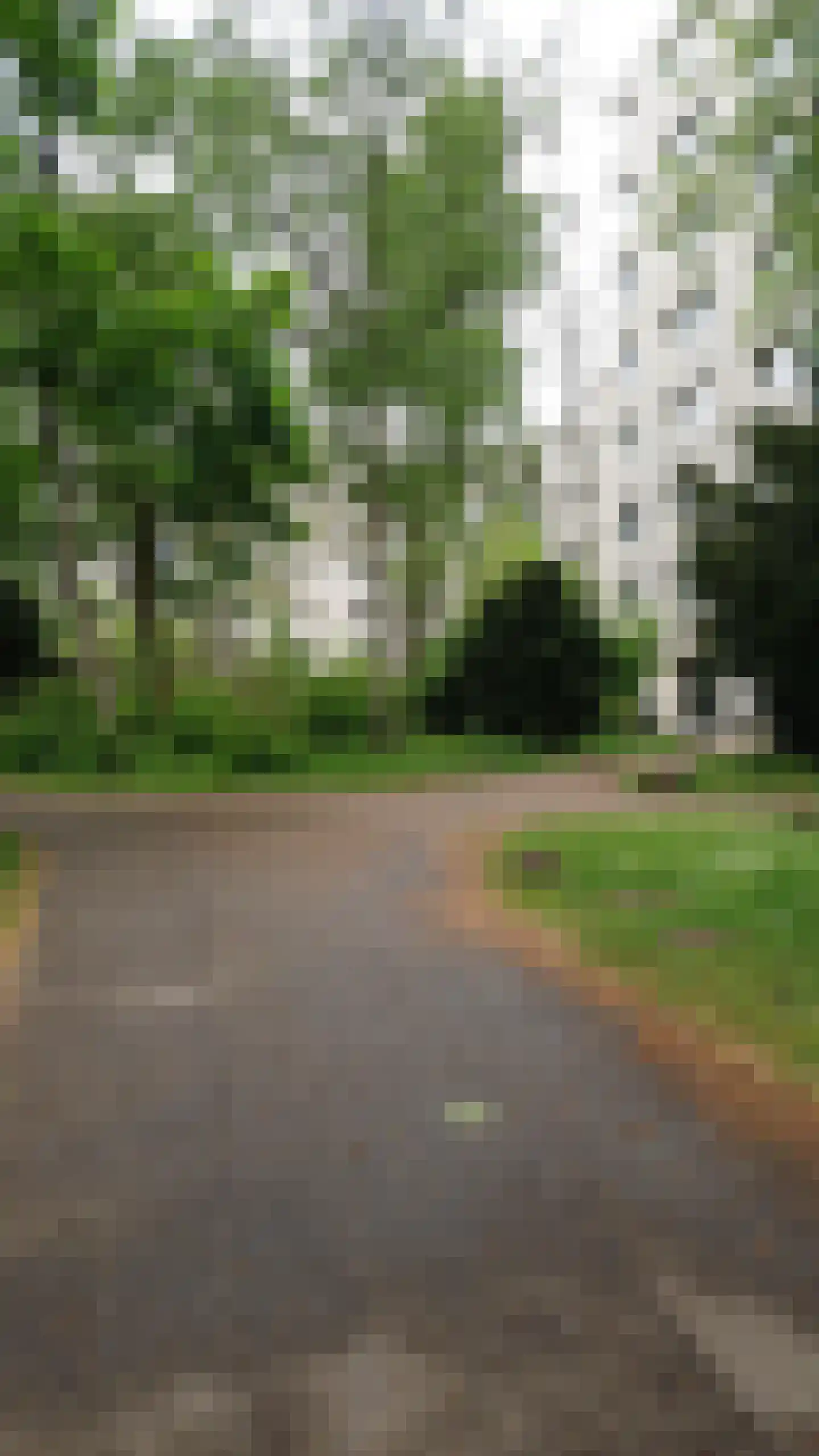 Gouden Leeuw 618 Amsterdam thumbnail 35