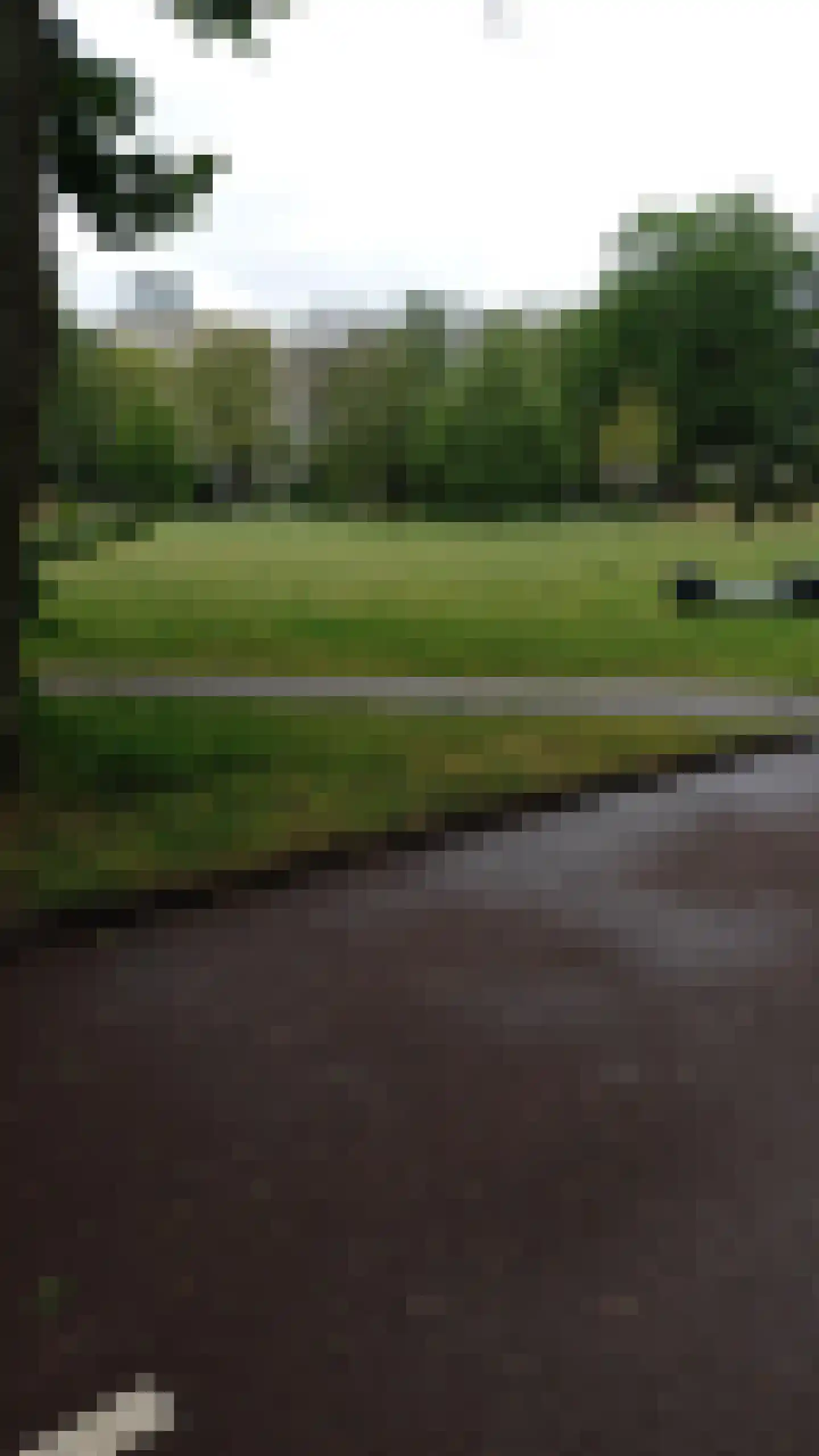 Gouden Leeuw 618 Amsterdam thumbnail 36