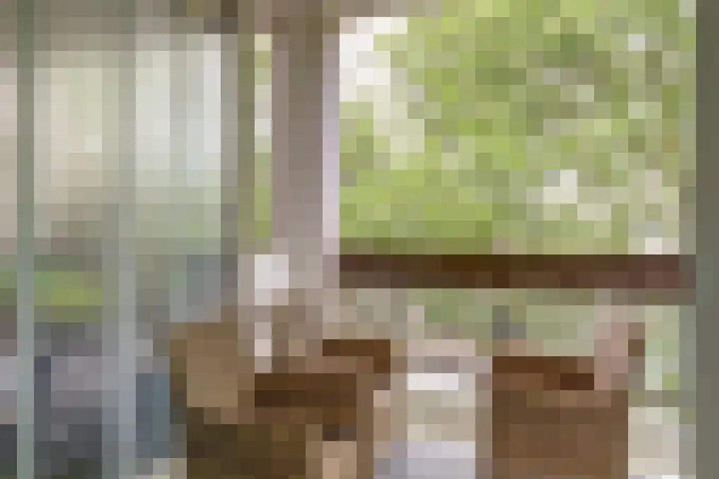 Gouden Leeuw 618 Amsterdam thumbnail 5