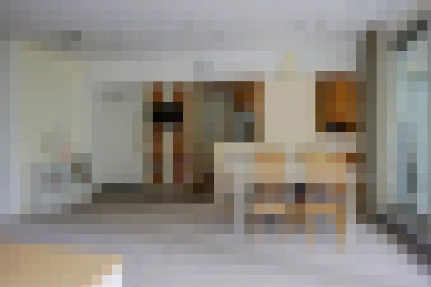 Gouden Leeuw 618 Amsterdam thumbnail 6