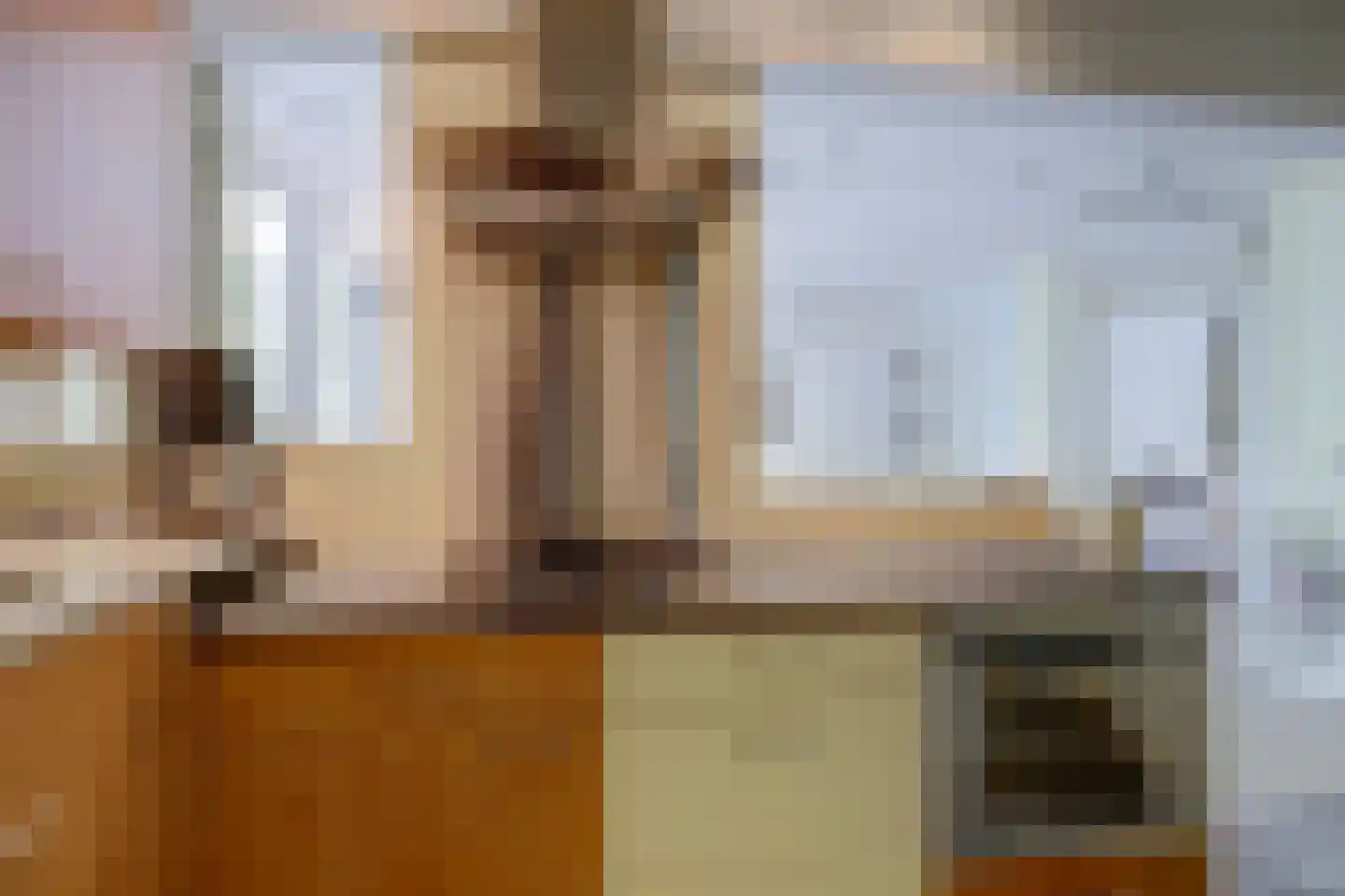 Gouden Leeuw 618 Amsterdam thumbnail 8