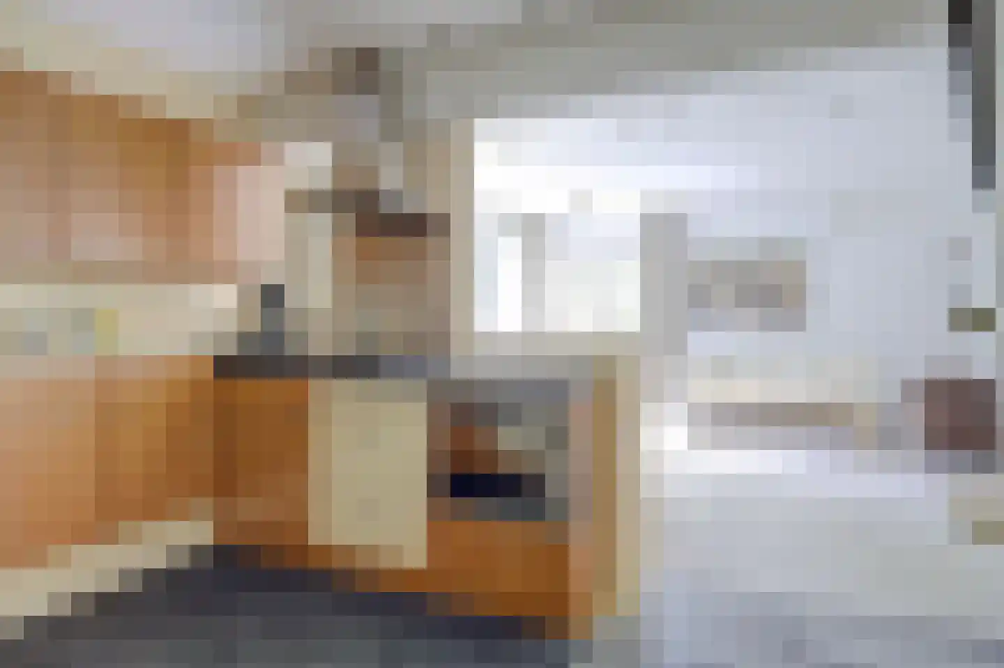 Gouden Leeuw 618 Amsterdam thumbnail 9