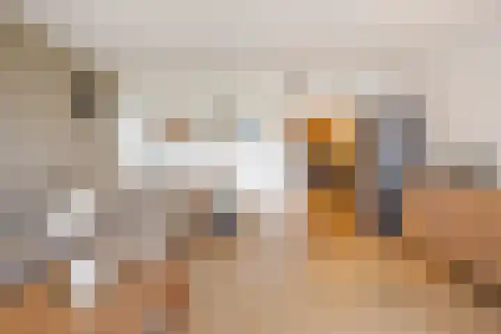 Gouden Leeuw 727 Amsterdam thumbnail 10