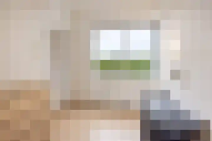 Gouden Leeuw 727 Amsterdam thumbnail 14