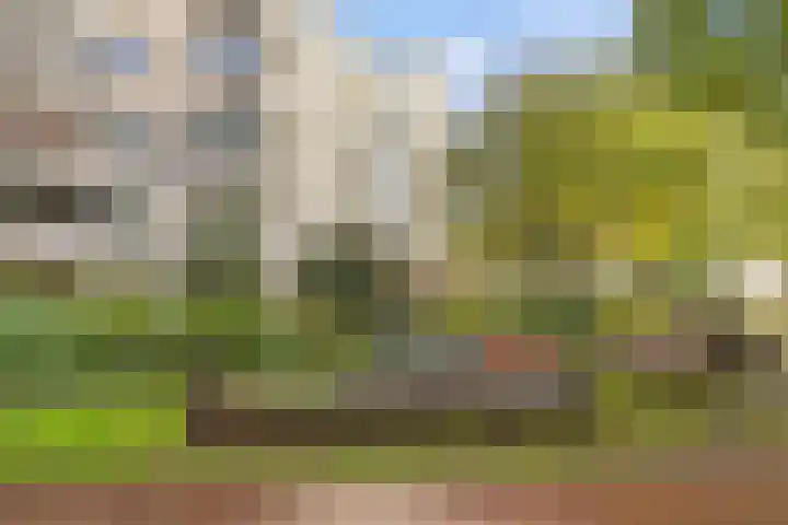Gouden Leeuw 727 Amsterdam thumbnail 22