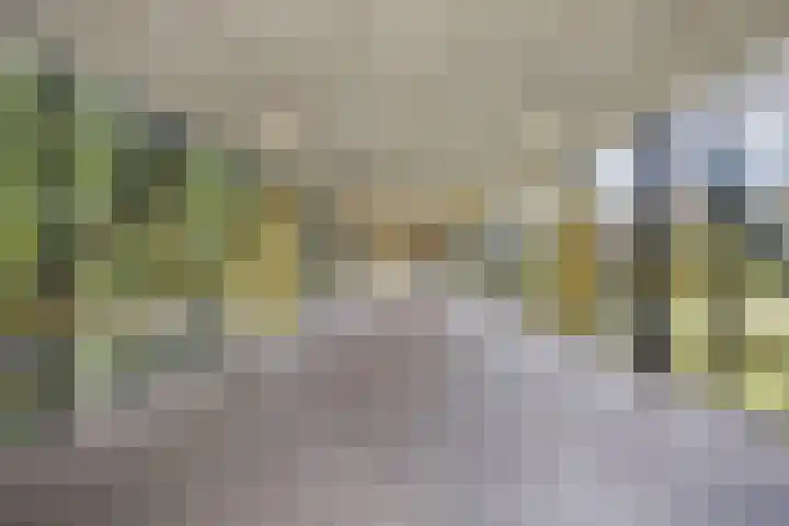 Gouden Leeuw 727 Amsterdam thumbnail 24
