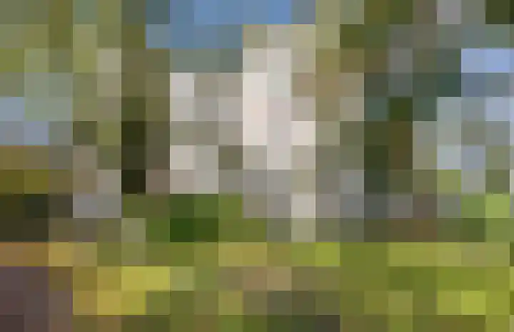 Gouden Leeuw 727 Amsterdam thumbnail 29