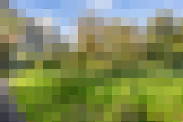 Gouden Leeuw 727 Amsterdam thumbnail 34