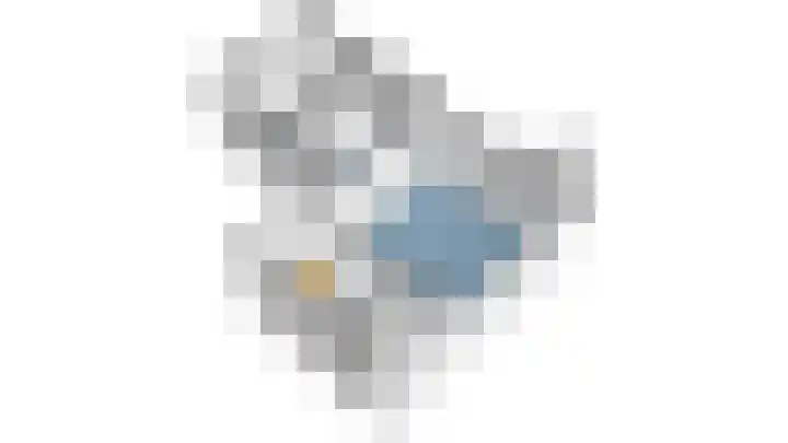 Gouden Leeuw 727 Amsterdam thumbnail 38