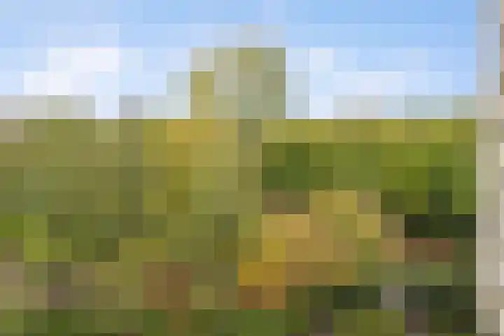 Gouden Leeuw 727 Amsterdam thumbnail 6