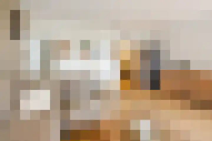 Gouden Leeuw 727 Amsterdam thumbnail 9