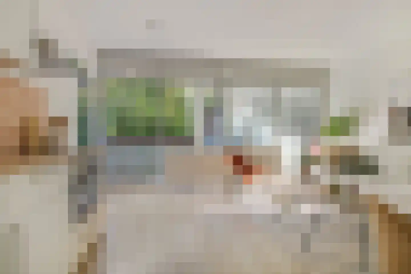 Gouden Leeuw 807 Amsterdam thumbnail 11