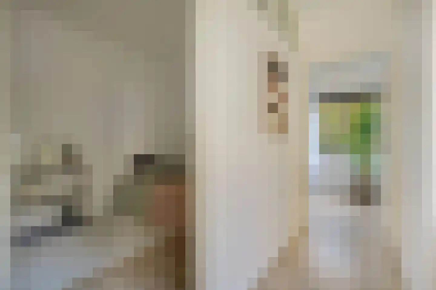 Gouden Leeuw 807 Amsterdam thumbnail 17