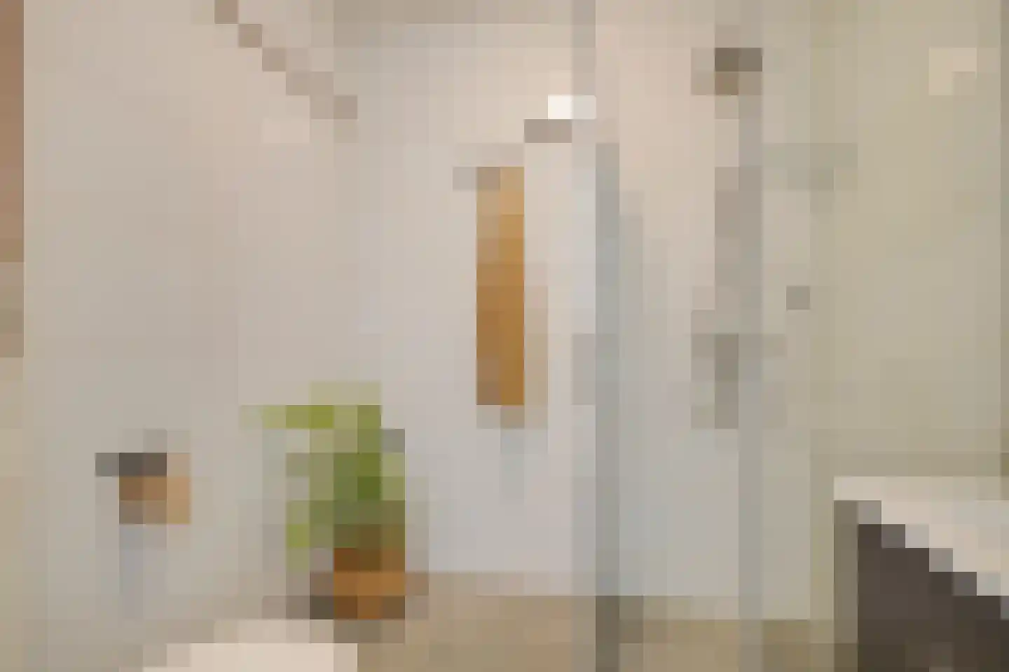 Gouden Leeuw 807 Amsterdam thumbnail 18