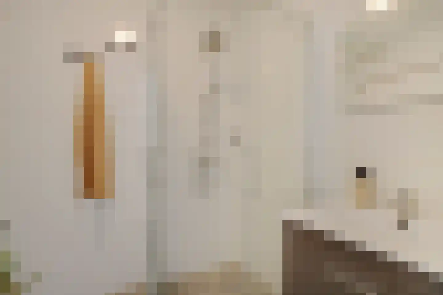 Gouden Leeuw 807 Amsterdam thumbnail 19