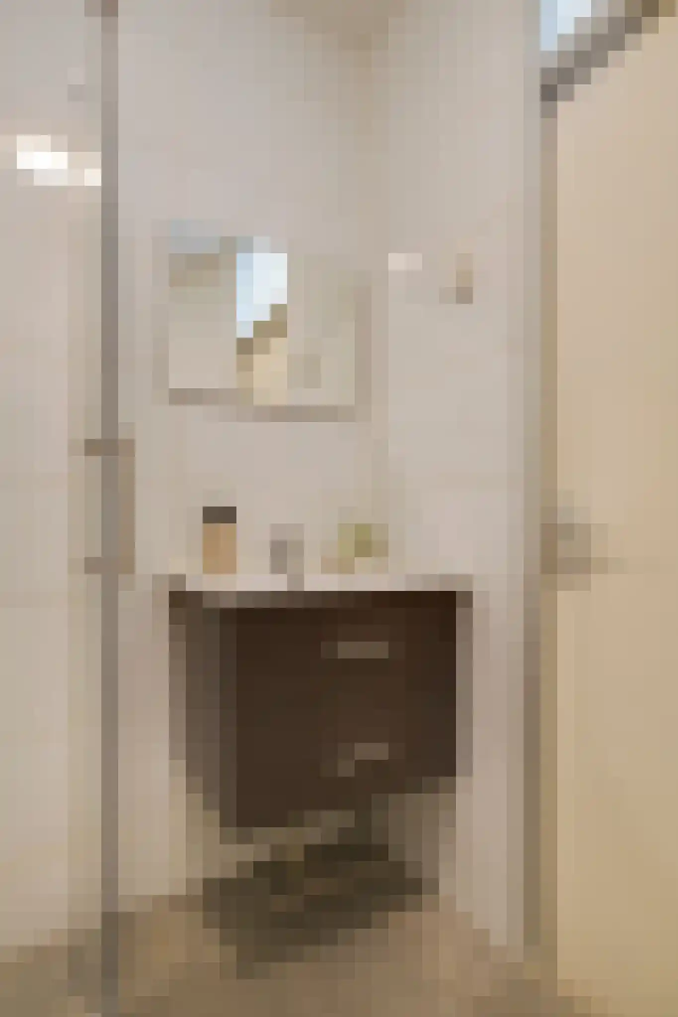 Gouden Leeuw 807 Amsterdam thumbnail 21