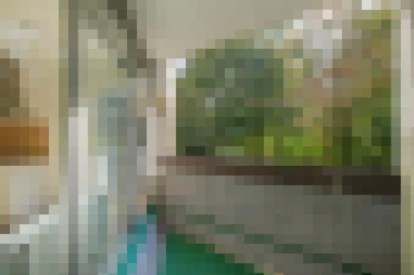 Gouden Leeuw 807 Amsterdam thumbnail 24