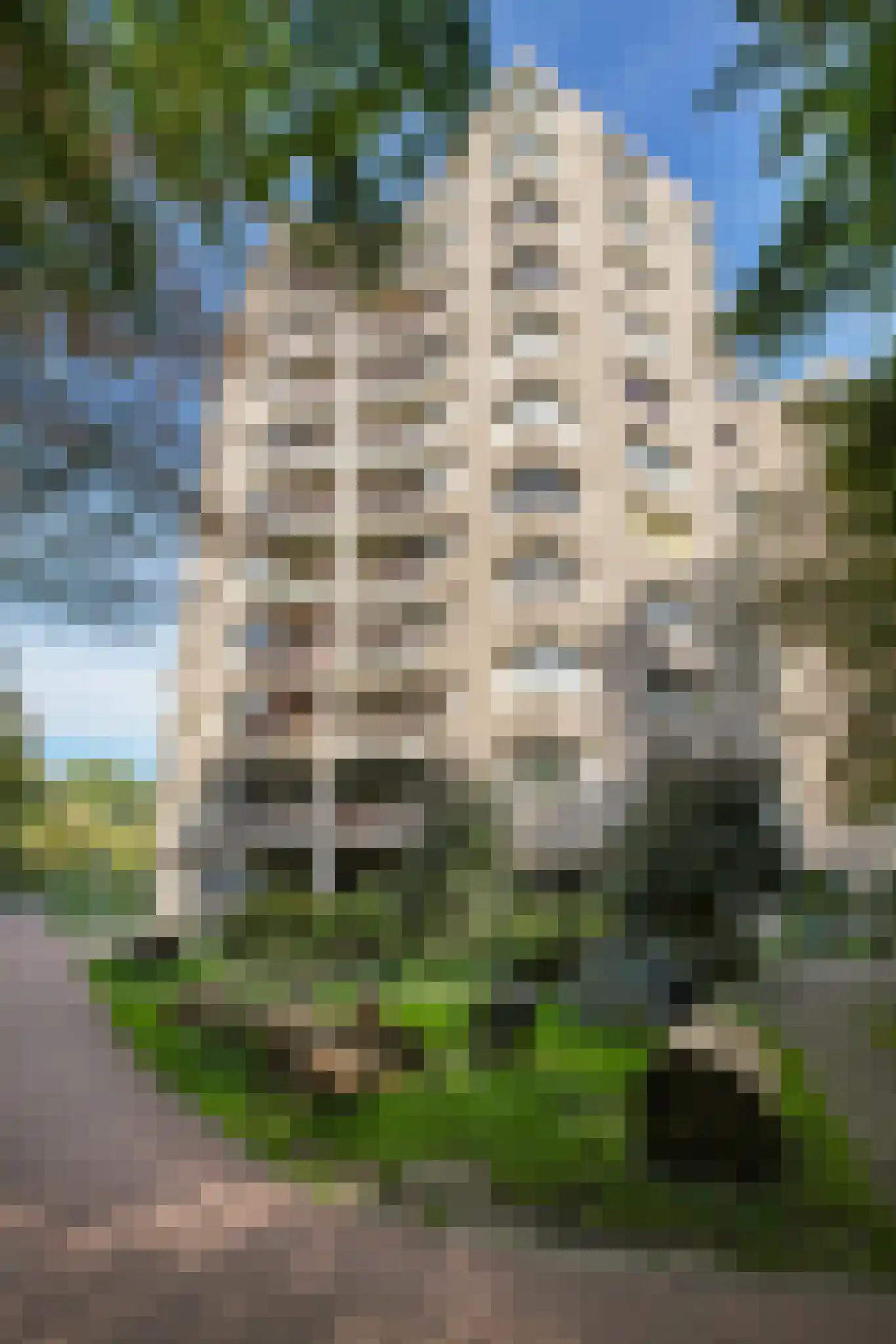 Gouden Leeuw 807 Amsterdam thumbnail 26