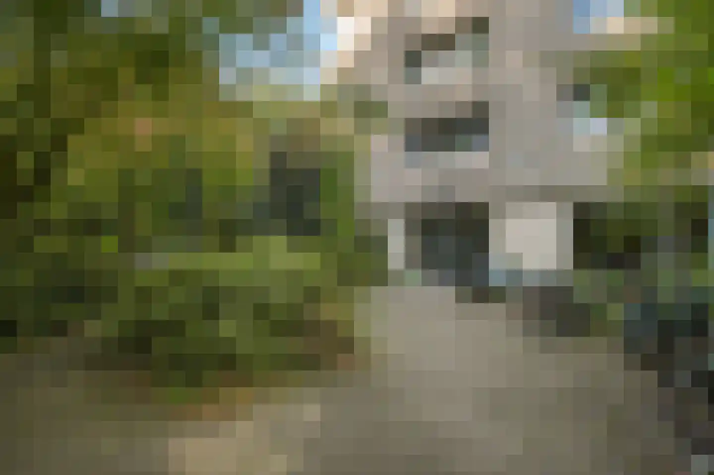 Gouden Leeuw 807 Amsterdam thumbnail 27