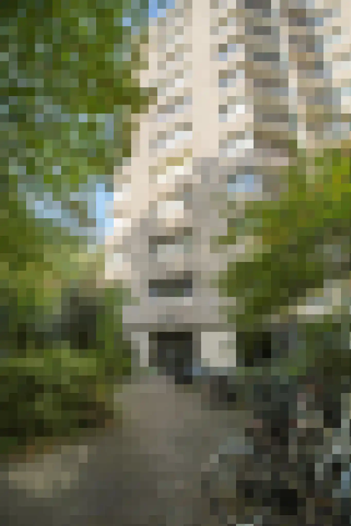 Gouden Leeuw 807 Amsterdam thumbnail 28