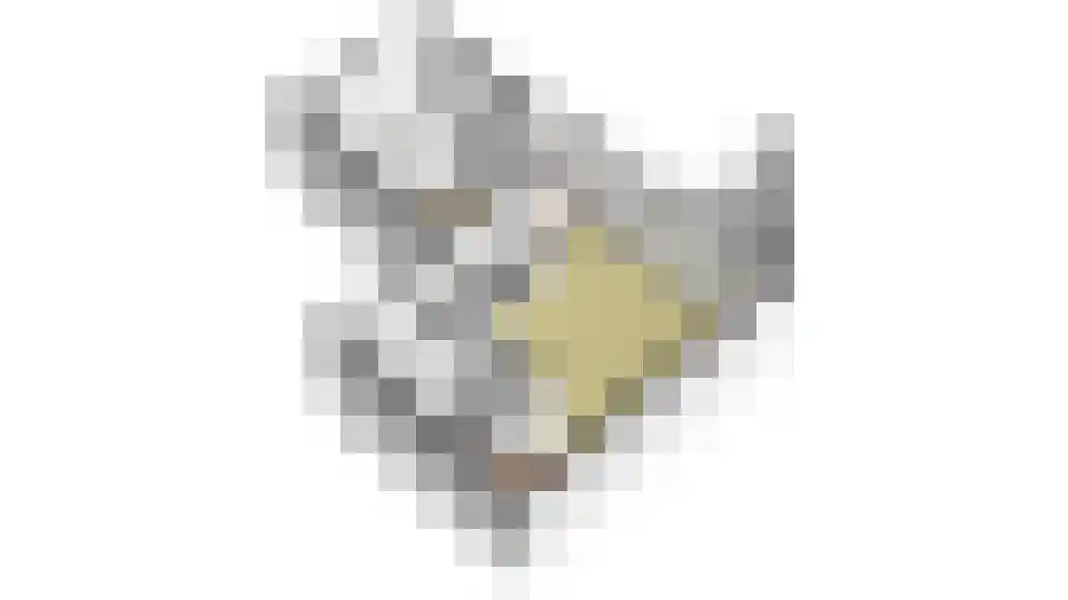 Gouden Leeuw 807 Amsterdam thumbnail 34