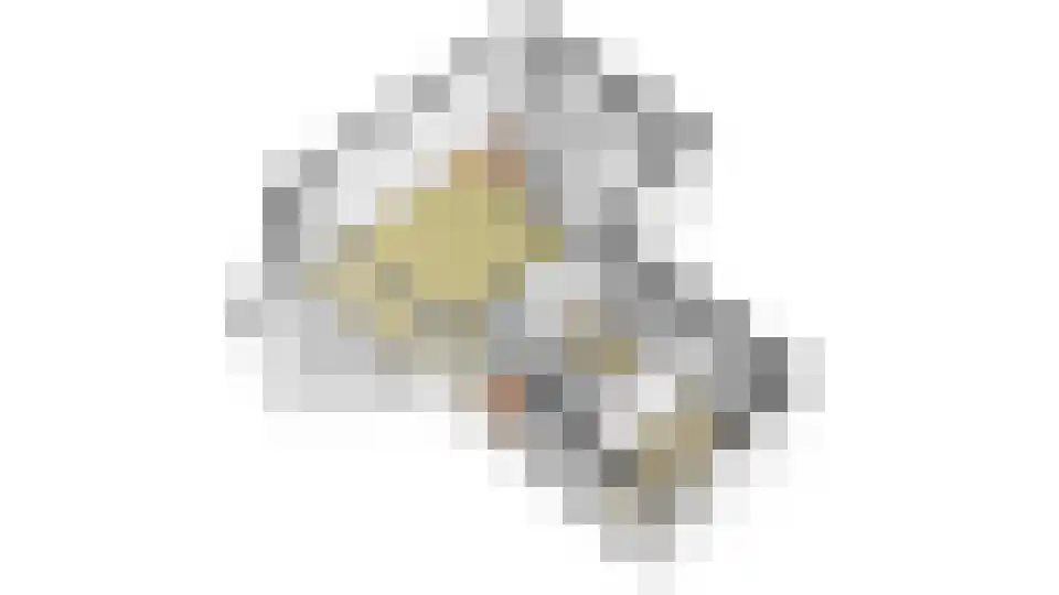 Gouden Leeuw 807 Amsterdam thumbnail 35