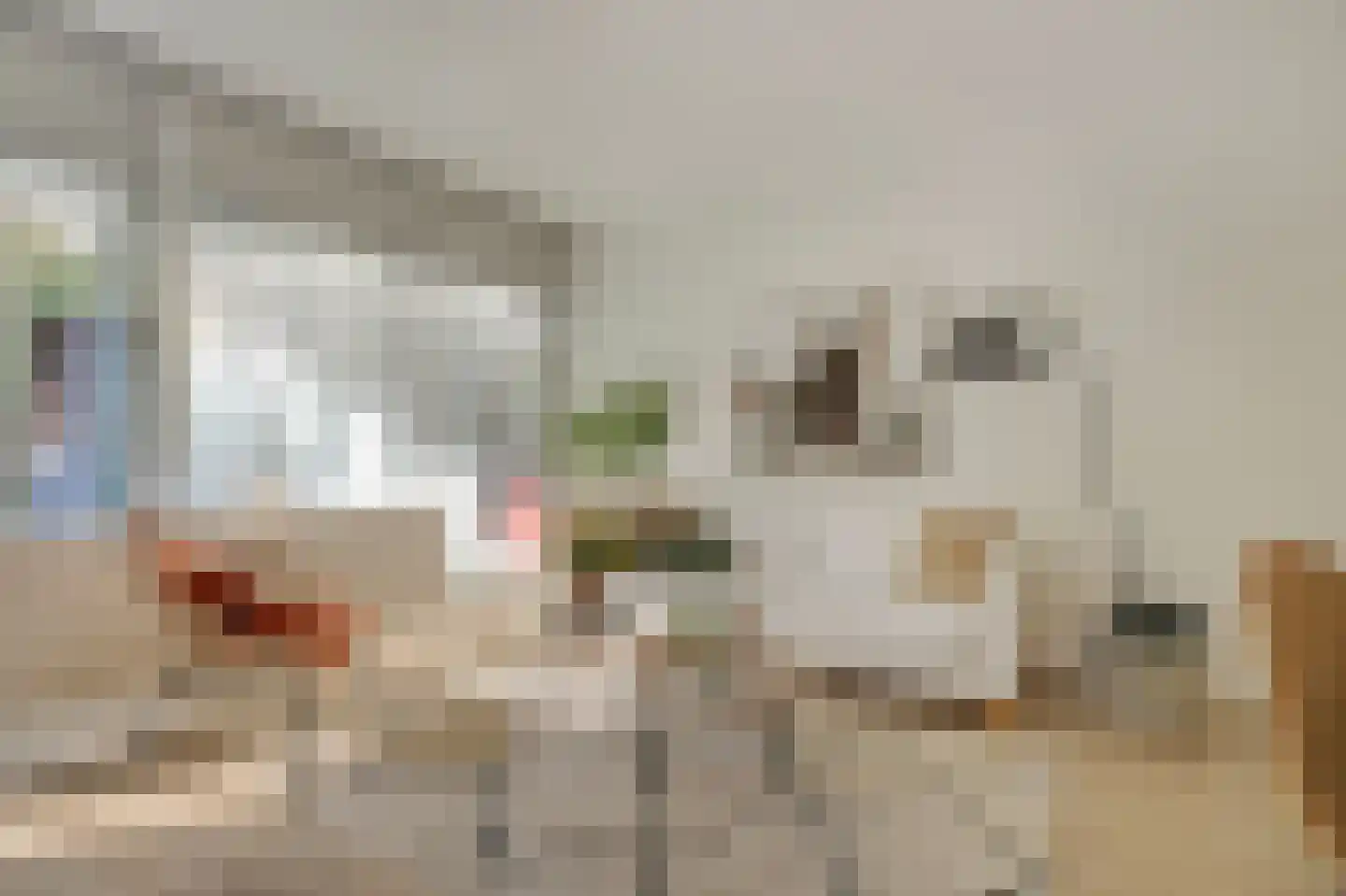 Gouden Leeuw 807 Amsterdam thumbnail 5